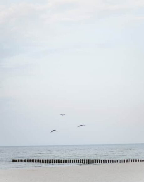 vertical-photo-2